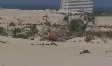 با سکس انال خارجی یک خوش شانس