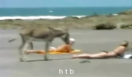 عشق, انال سکس جدید دوست دختر سابق, سکس عمومی