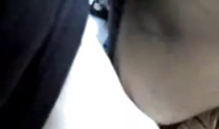بچه ها گربه داستان سکسی انال